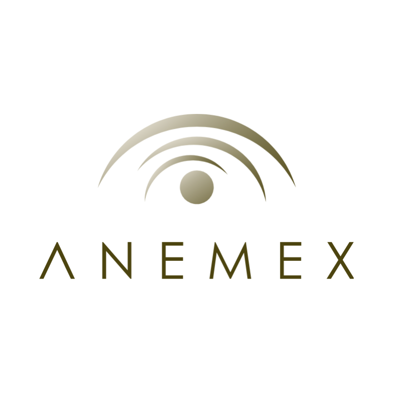 https://d5928blw9sqrz.cloudfront.net/56207f81-51a0-4f9f-8157-ebba6d51015d/dist/img/allies/payment-service/anemex.png